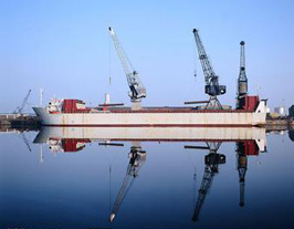 ��(y��ng)���I(l��ng)��